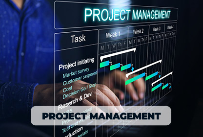 Consulting & Strategy